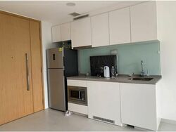 Bartley Ridge (D13), Condominium #496272071